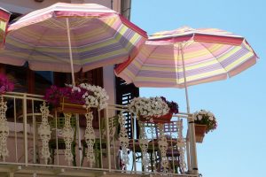 Read more about the article Kiedy kwiaty na balkonie najlepiej rosną?