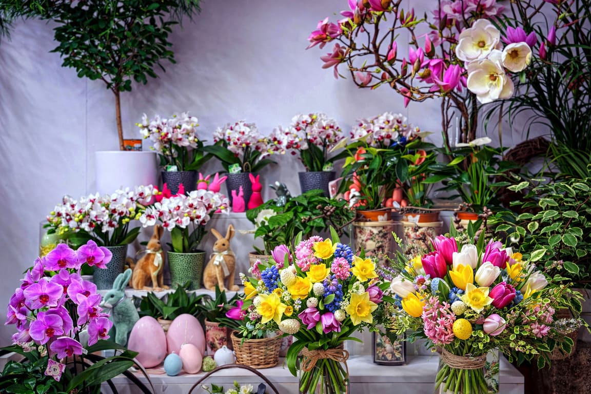Read more about the article Jakie kwiaty na Wielkanoc wybrać? Przegląd najpopularniejszych gatunków